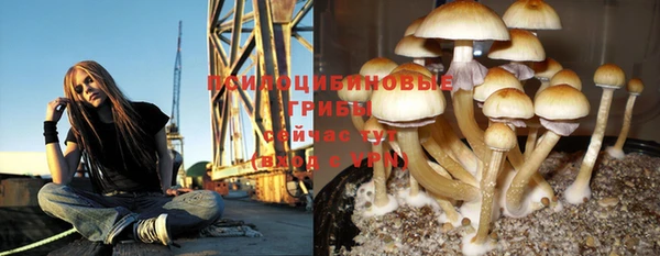 2c-b Бугульма