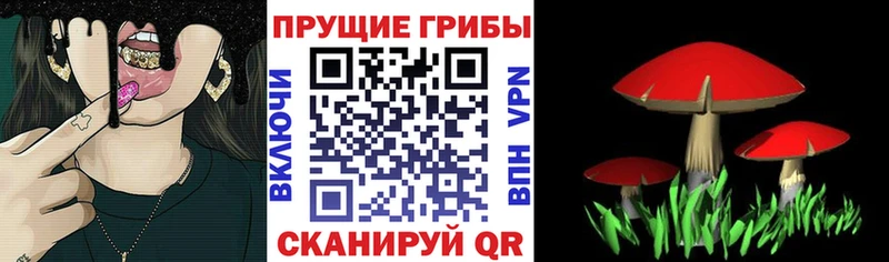 Псилоцибиновые грибы Psilocybine cubensis  что такое наркотик  Волгореченск 